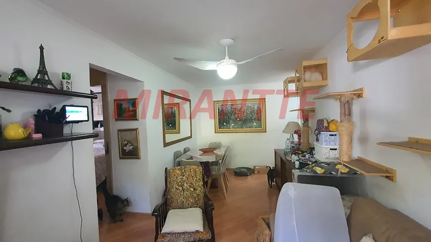 Foto 1 de Apartamento com 2 Quartos à venda, 50m² em Pedra Branca, São Paulo