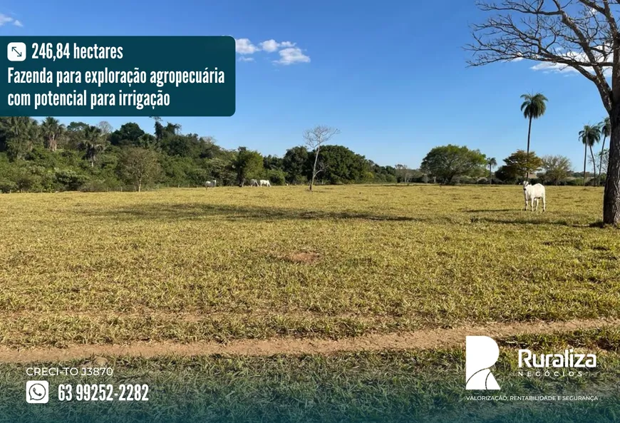 Foto 1 de Fazenda/Sítio à venda, 246m² em Zona Rural, Gurupi