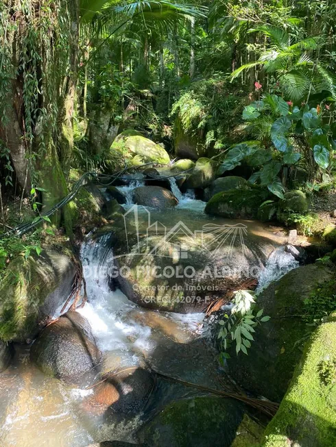 Foto 1 de Fazenda/Sítio à venda, 12500m² em Rodeio 12, Rodeio