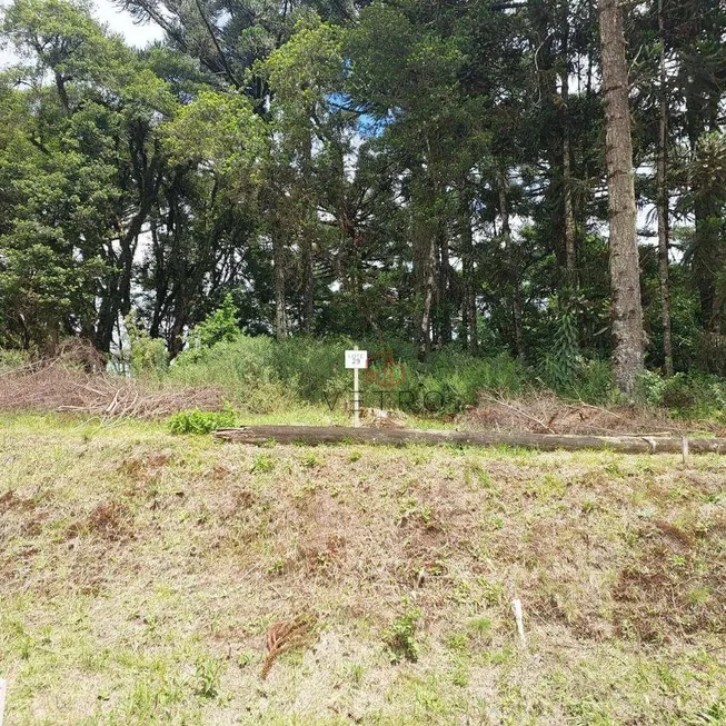 Foto 1 de Lote/Terreno à venda, 407m² em Sao Luiz, Canela