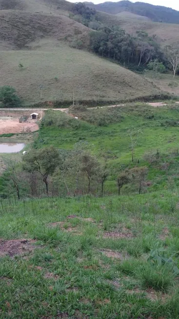 Foto 1 de Lote/Terreno à venda, 20000m² em Nossa Senhora do Amparo, Barra Mansa