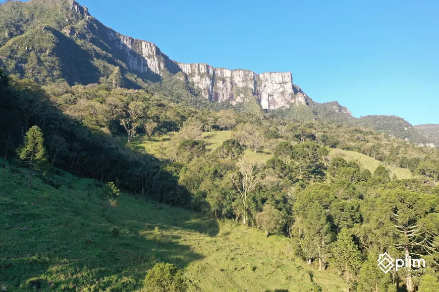 Foto 1 de Fazenda/Sítio com 1 Quarto à venda, 21200m² em , Alfredo Wagner