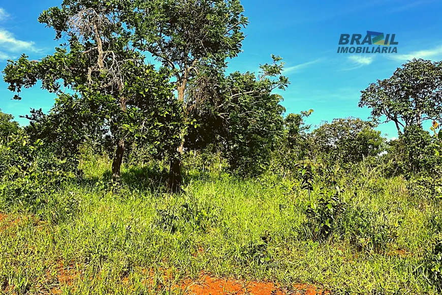 Foto 1 de Fazenda/Sítio à venda, 20000m² em Area Rural de Cidade Ocidental, Cidade Ocidental