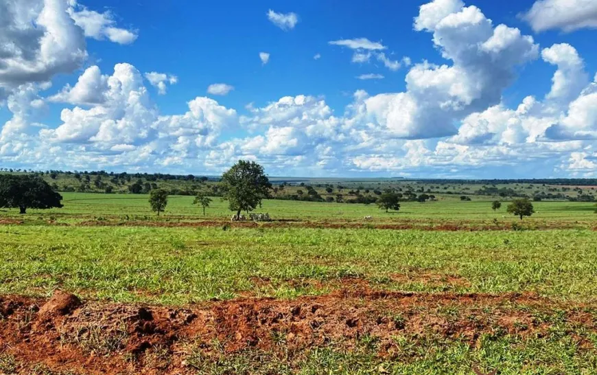 Foto 1 de Fazenda/Sítio à venda, 2223m² em Zona Rural, Nova Andradina