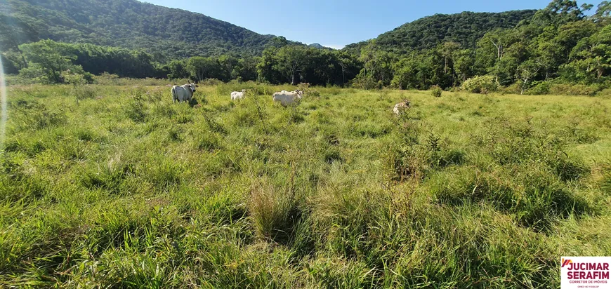 Foto 1 de Lote/Terreno à venda, 90000m² em Rio do Meio, Camboriú