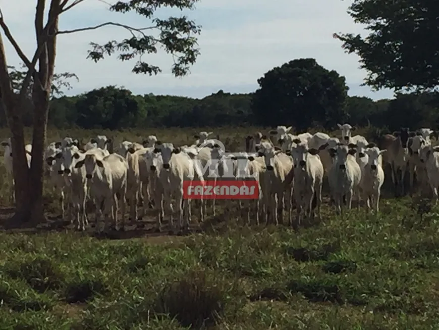 Foto 1 de Fazenda/Sítio à venda em Zona Rural, Cocalinho