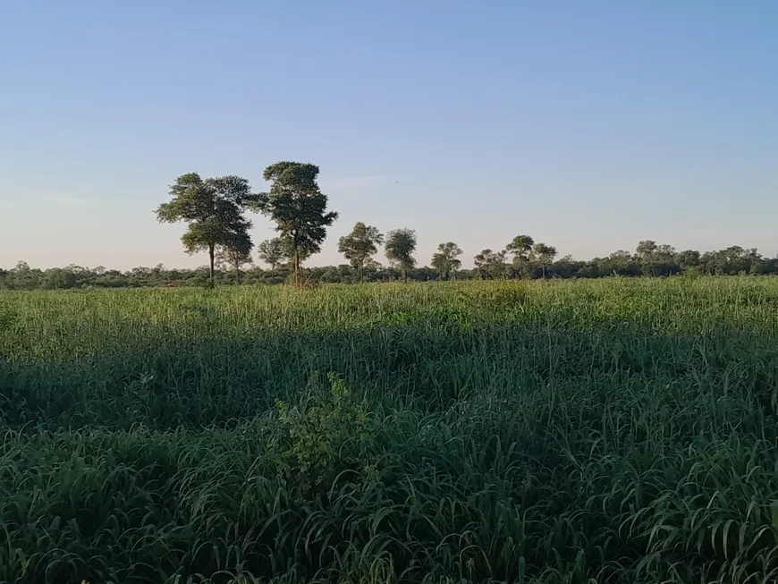 Foto 1 de Fazenda/Sítio à venda, 188900000m² em Centro, Porto Murtinho