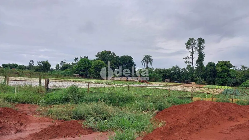 Foto 1 de Lote/Terreno para alugar, 3648m² em Shopping Park, Uberlândia