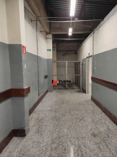 Foto 1 de Ponto Comercial para alugar, 589m² em Vila Baeta Neves, São Bernardo do Campo