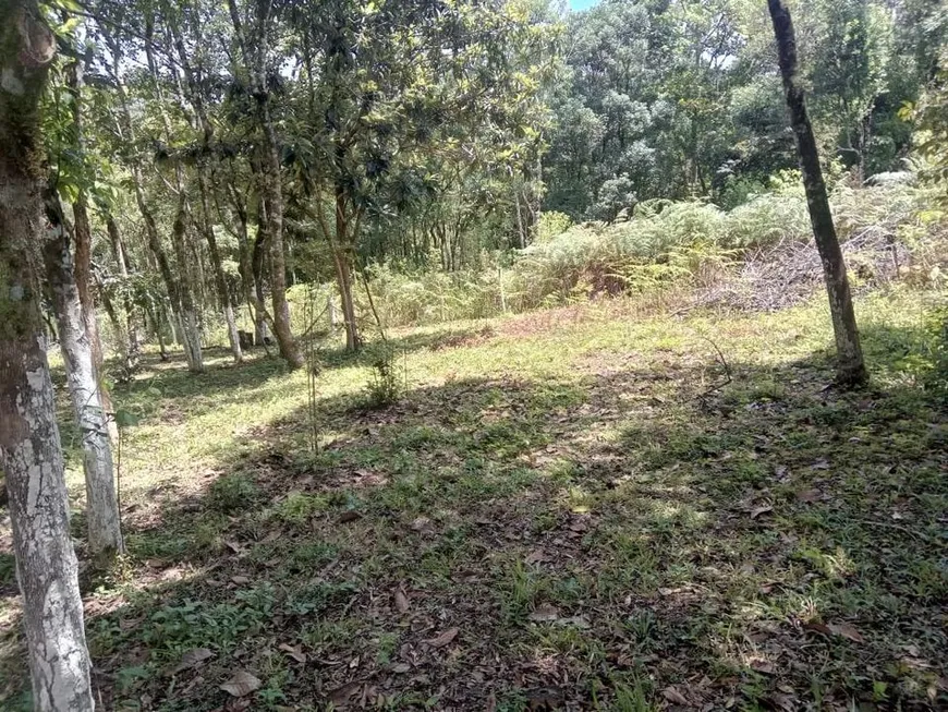 Foto 1 de Lote/Terreno à venda, 2500m² em Zona Rural, Campina Grande do Sul