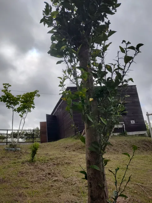 Foto 1 de Fazenda/Sítio com 2 Quartos à venda, 60m² em Cascata, Pelotas