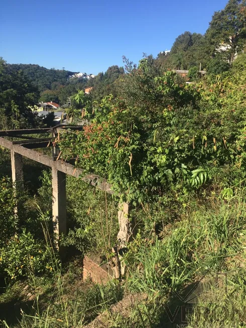 Foto 1 de Lote/Terreno à venda, 440m² em Santa Corona, Caxias do Sul