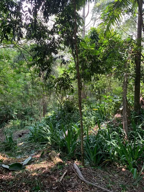 Foto 1 de Lote/Terreno à venda, 2000m² em Moinho Velho, Embu das Artes