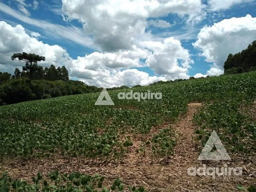 Foto 1 de Fazenda/Sítio com 1 Quarto à venda, 10m² em Centro, Palmeira