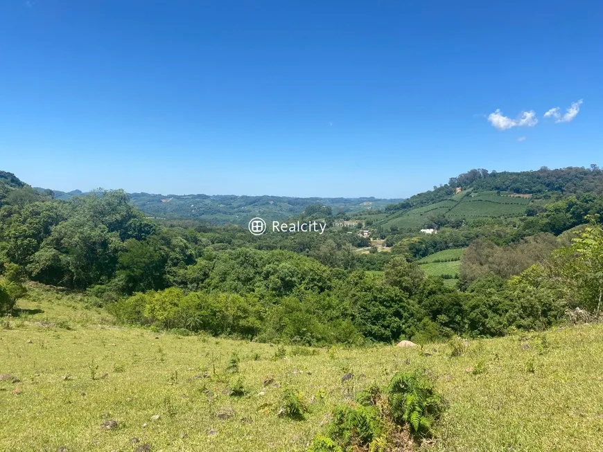 Foto 1 de Lote/Terreno à venda, 129370m² em , Garibaldi