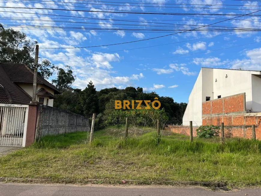 Foto 1 de Lote/Terreno à venda, 720m² em Butiatuvinha, Curitiba