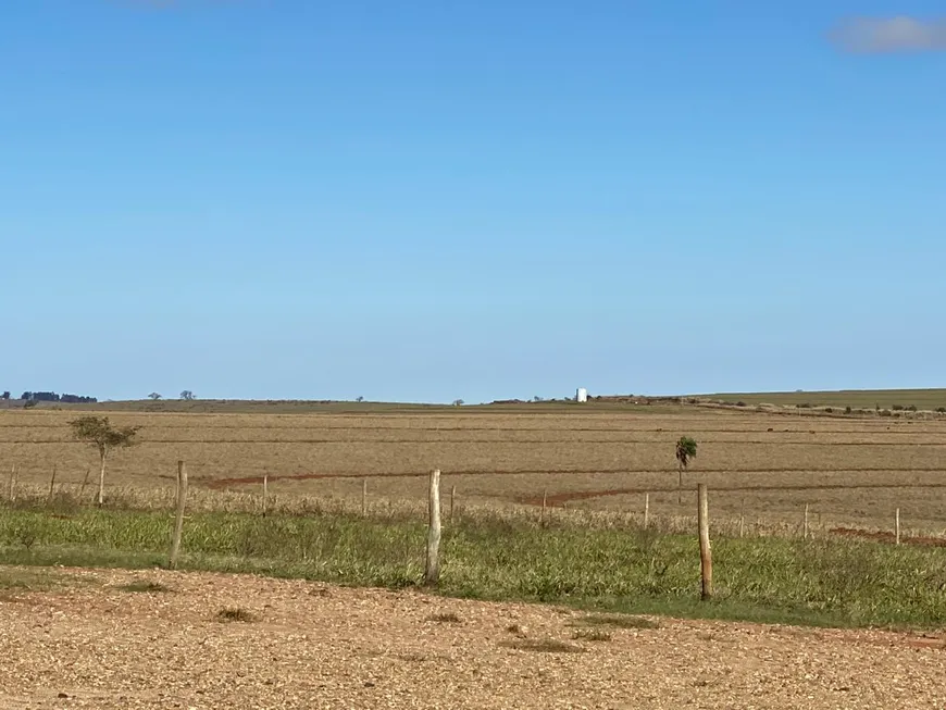 Foto 1 de Fazenda/Sítio à venda em Centro, Presidente Venceslau