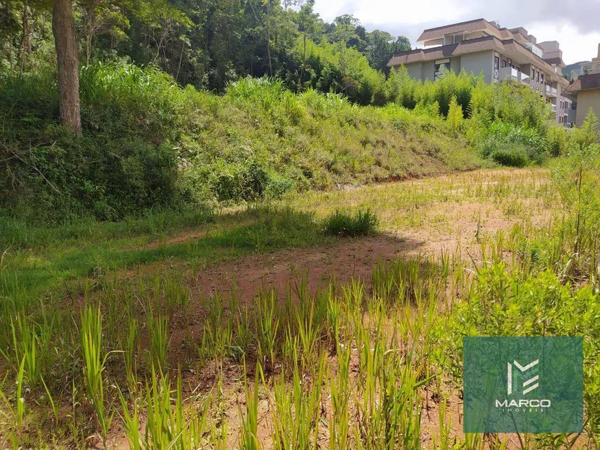 Foto 1 de Lote/Terreno à venda, 20000m² em Varzea, Teresópolis