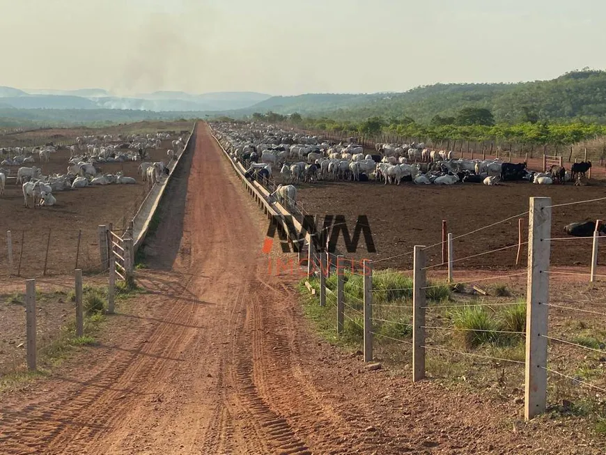 Foto 1 de Fazenda/Sítio à venda, 30000000m² em Zona Rural, Pindorama do Tocantins