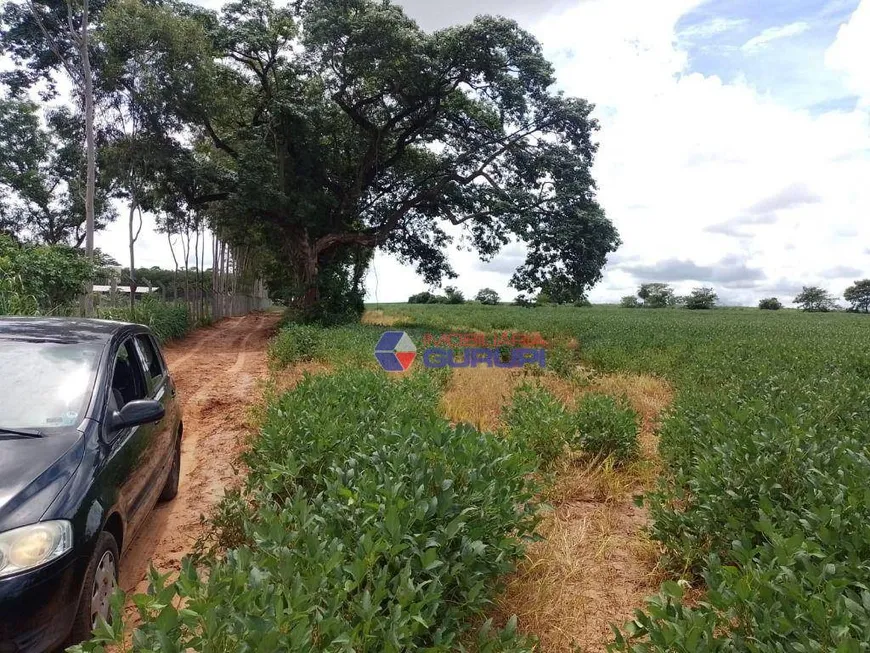 Foto 1 de Fazenda/Sítio à venda, 605000m² em Zona Rural, Bady Bassitt