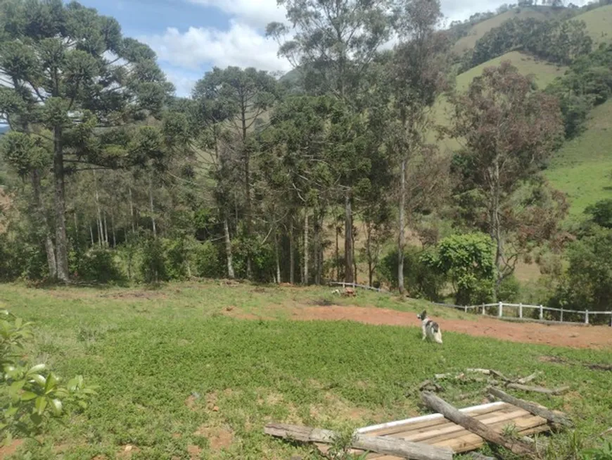 Foto 1 de Lote/Terreno à venda, 2500m² em Zona Rural, Marmelópolis