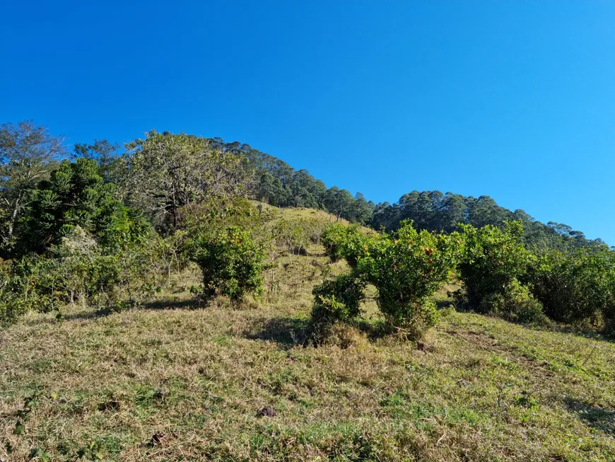 Foto 1 de Fazenda/Sítio com 1 Quarto à venda, 40m² em São Francisco Xavier, São José dos Campos