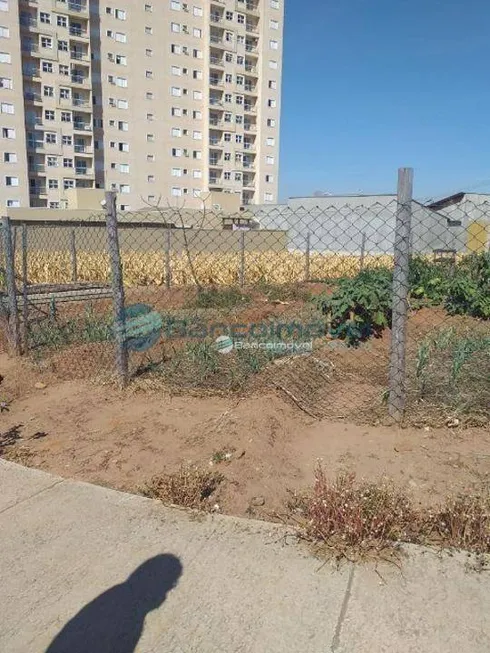 Foto 1 de Lote/Terreno à venda, 424m² em Parque dos Servidores, Paulínia