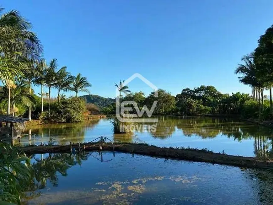 Foto 1 de Fazenda/Sítio com 4 Quartos à venda, 180000m² em , Massaranduba