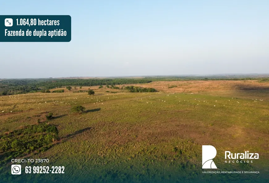 Foto 1 de Fazenda/Sítio à venda, 1064m² em Zona Rural, Pedro Afonso