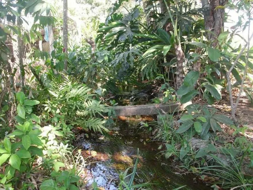 Foto 1 de Fazenda/Sítio com 2 Quartos à venda, 6000m² em Centro, Aragoiânia