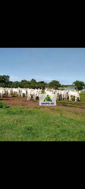 Foto 1 de Fazenda/Sítio à venda, 120000000m² em Zona Rural, Ribeirão Cascalheira