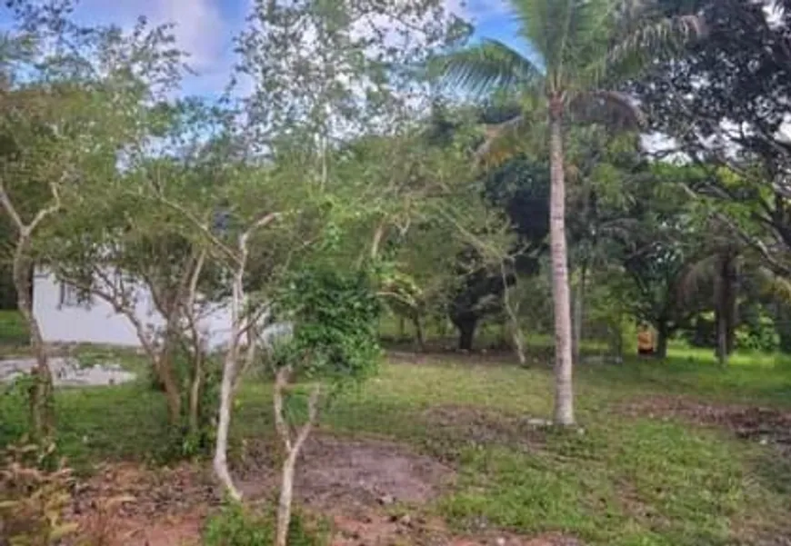 Foto 1 de Fazenda/Sítio com 2 Quartos à venda, 3000m² em Cassange, Salvador