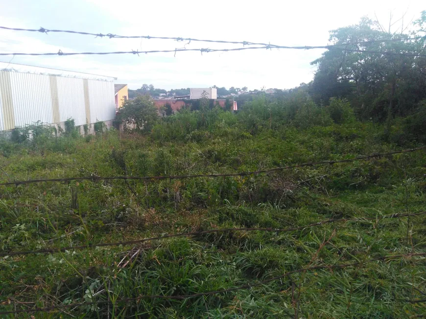 Foto 1 de Lote/Terreno à venda, 1193000m² em Campina do Arruda, Almirante Tamandaré