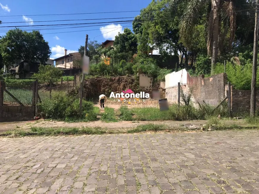 Foto 1 de Lote/Terreno à venda, 330m² em Rio Branco, Caxias do Sul