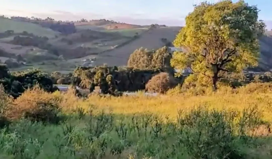 Foto 1 de Fazenda/Sítio à venda, 1000m² em , Senador Amaral