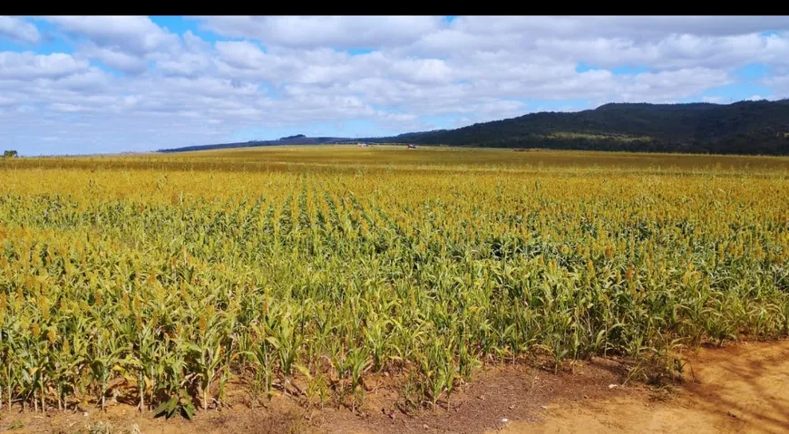 Foto 1 de Fazenda/Sítio com 1 Quarto à venda, 2550000m² em Zona Rural, Perdizes
