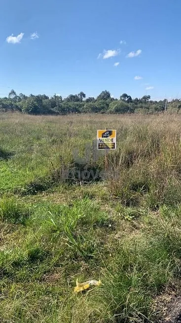 Foto 1 de Lote/Terreno à venda, 10m² em , Capão do Leão