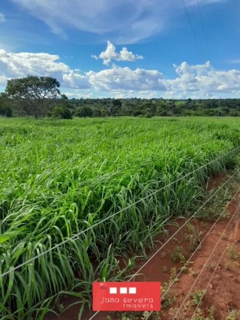 Foto 1 de Fazenda/Sítio à venda, 5m² em , Barro Alto