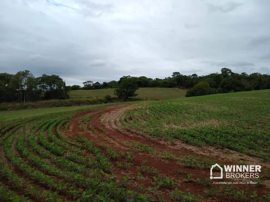 Foto 1 de Fazenda/Sítio com 1 Quarto à venda, 42730m² em Vera Cruz, Sarandi