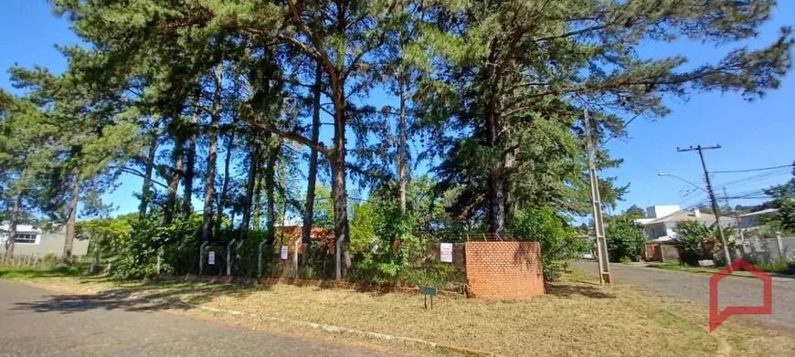 Foto 1 de Lote/Terreno à venda, 3000m² em Cristo Rei, São Leopoldo