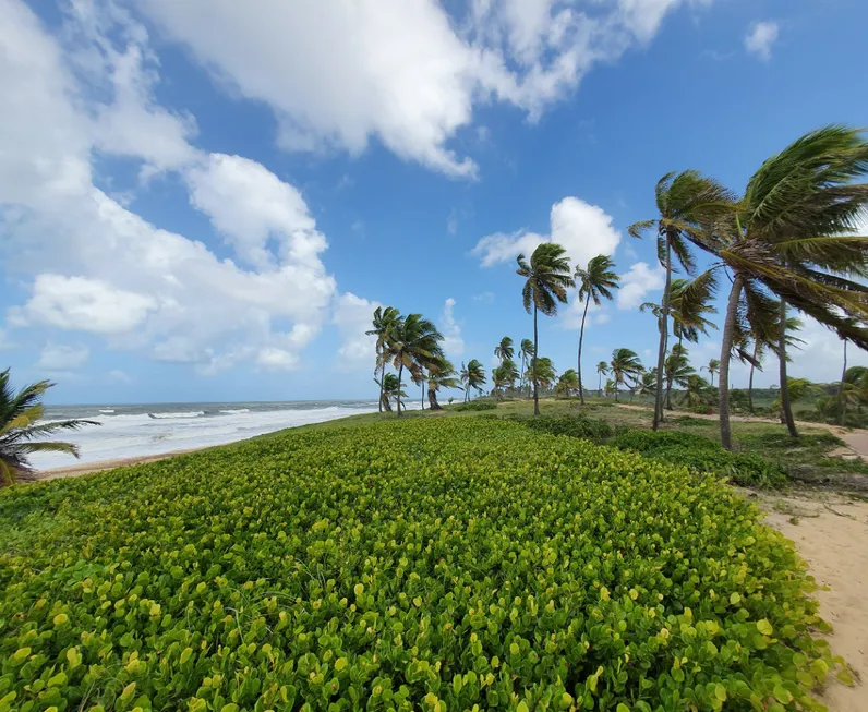 Foto 1 de Lote/Terreno à venda, 450m² em Costa do Sauípe, Mata de São João