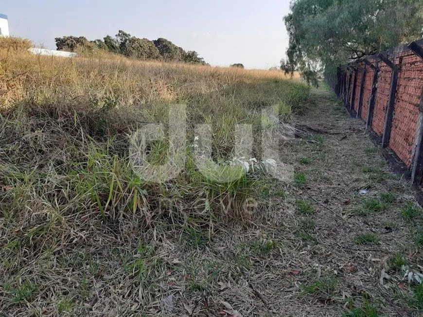 Foto 1 de Lote/Terreno para alugar, 2700m² em Betel, Paulínia