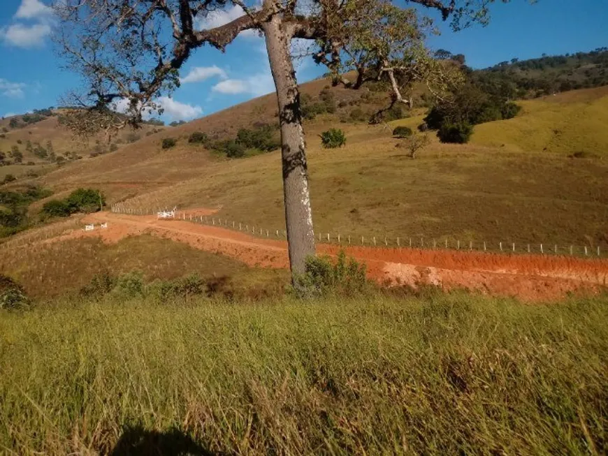 Foto 1 de Fazenda/Sítio com 1 Quarto à venda, 2500m² em Zona Rural, Delfim Moreira