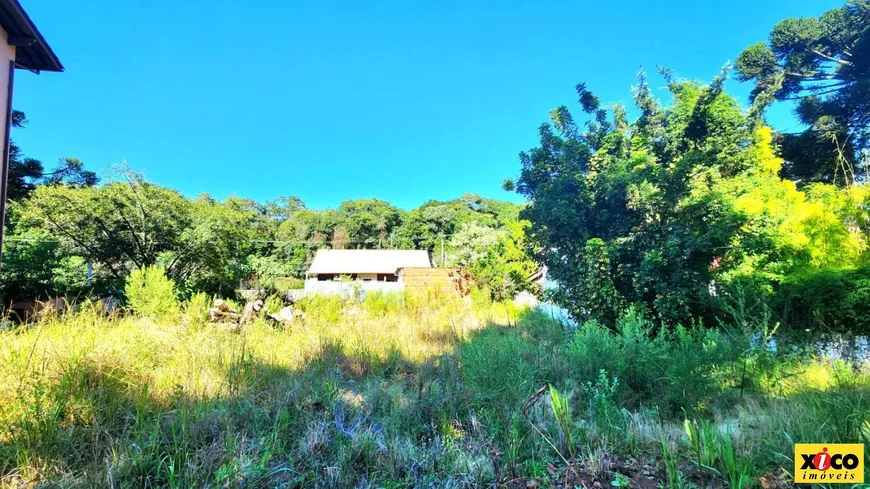 Foto 1 de Lote/Terreno à venda, 500m² em Centro, Nova Petrópolis