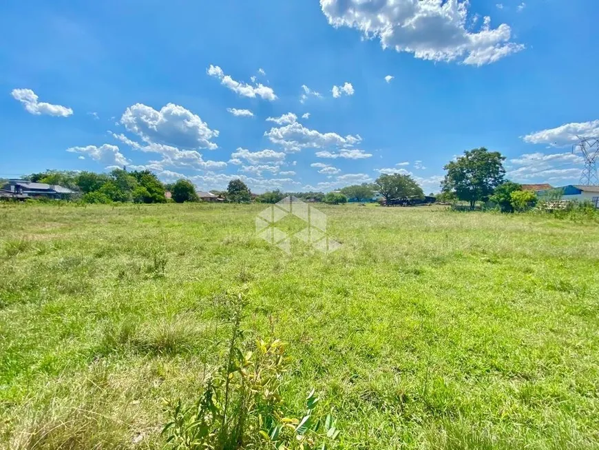 Foto 1 de Fazenda/Sítio com 1 Quarto à venda, 10000m² em Pedreira, Nova Santa Rita