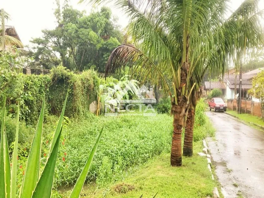 Foto 1 de Lote/Terreno à venda, 10m² em Massaguaçu, Caraguatatuba