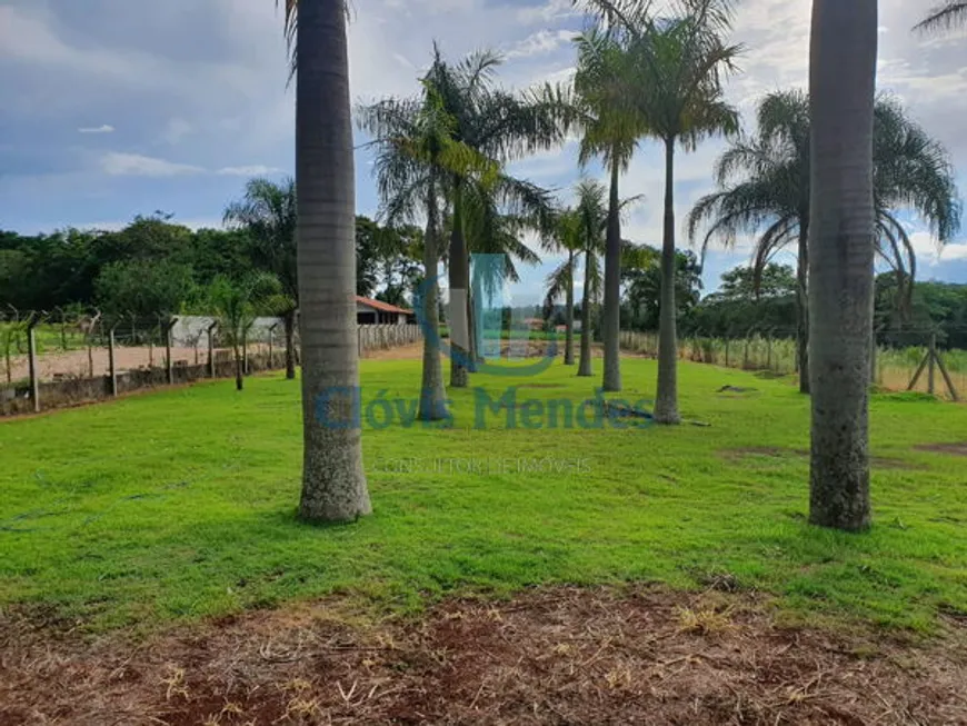 Foto 1 de Lote/Terreno com 1 Quarto à venda, 2030m² em Fazenda Gleba Palhano, Londrina