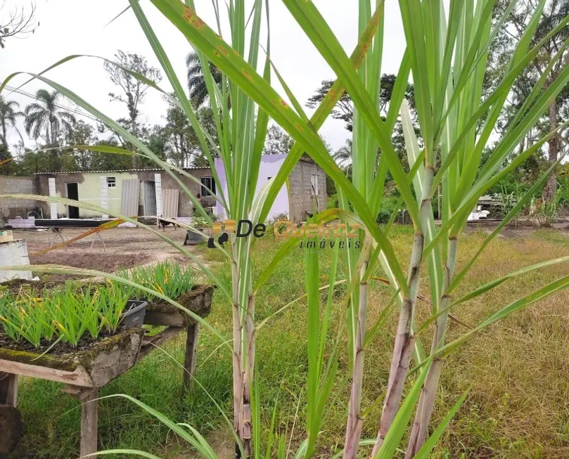 Foto 1 de Fazenda/Sítio com 3 Quartos à venda, 1232m² em Itanhaem, Itanhaém