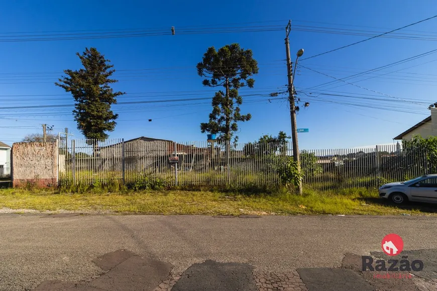 Foto 1 de Lote/Terreno para alugar, 490m² em Tingui, Curitiba