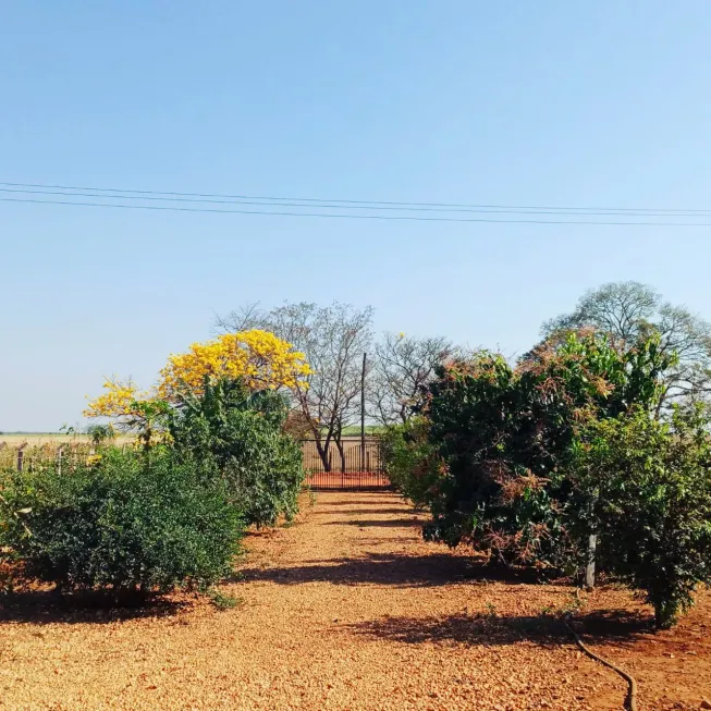 Foto 1 de Fazenda/Sítio com 2 Quartos à venda, 5175m² em Zona Rural, Bady Bassitt